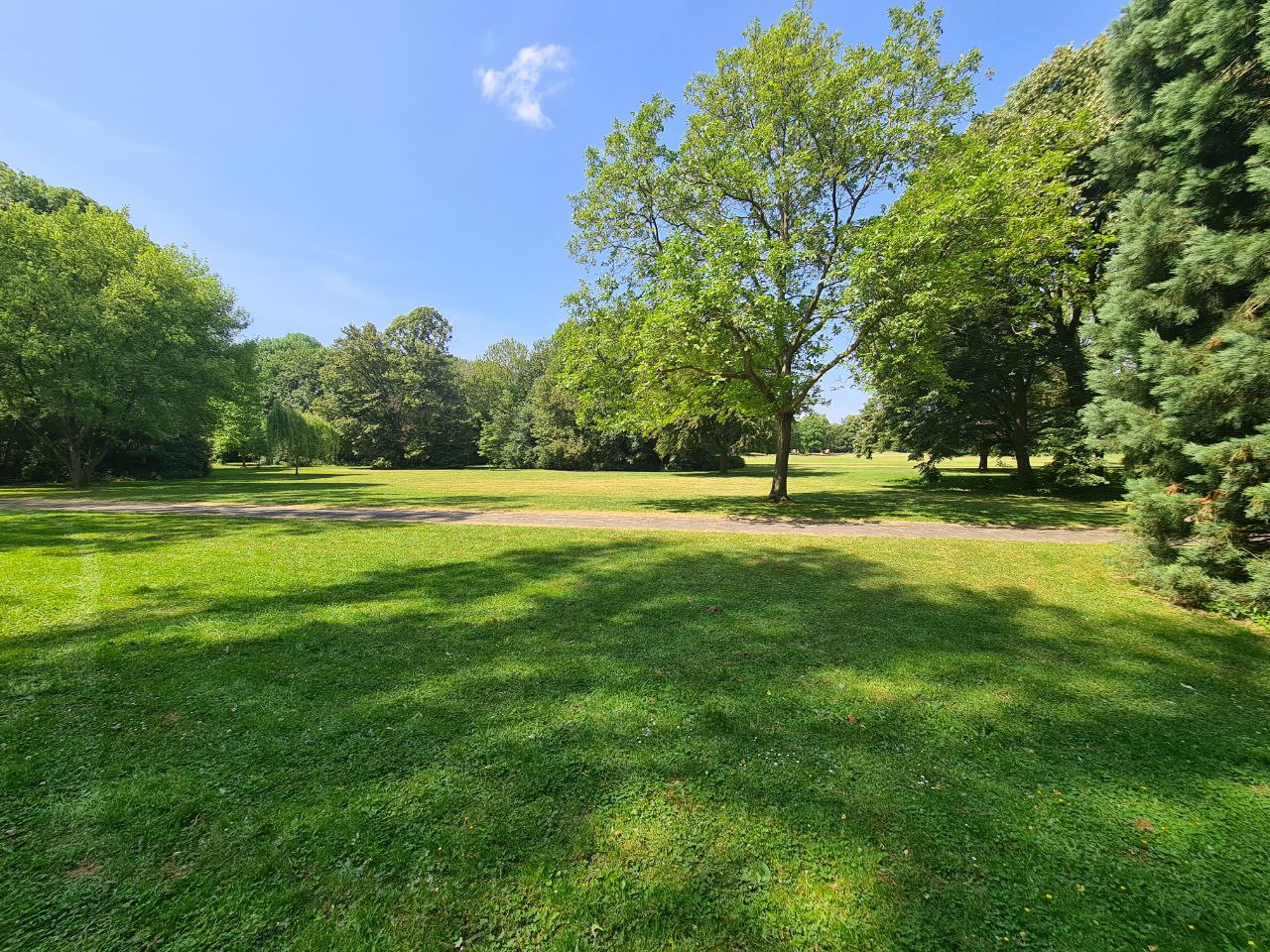 Zukunftswerkstatt bringt weitere Ideen für den Biegerpark