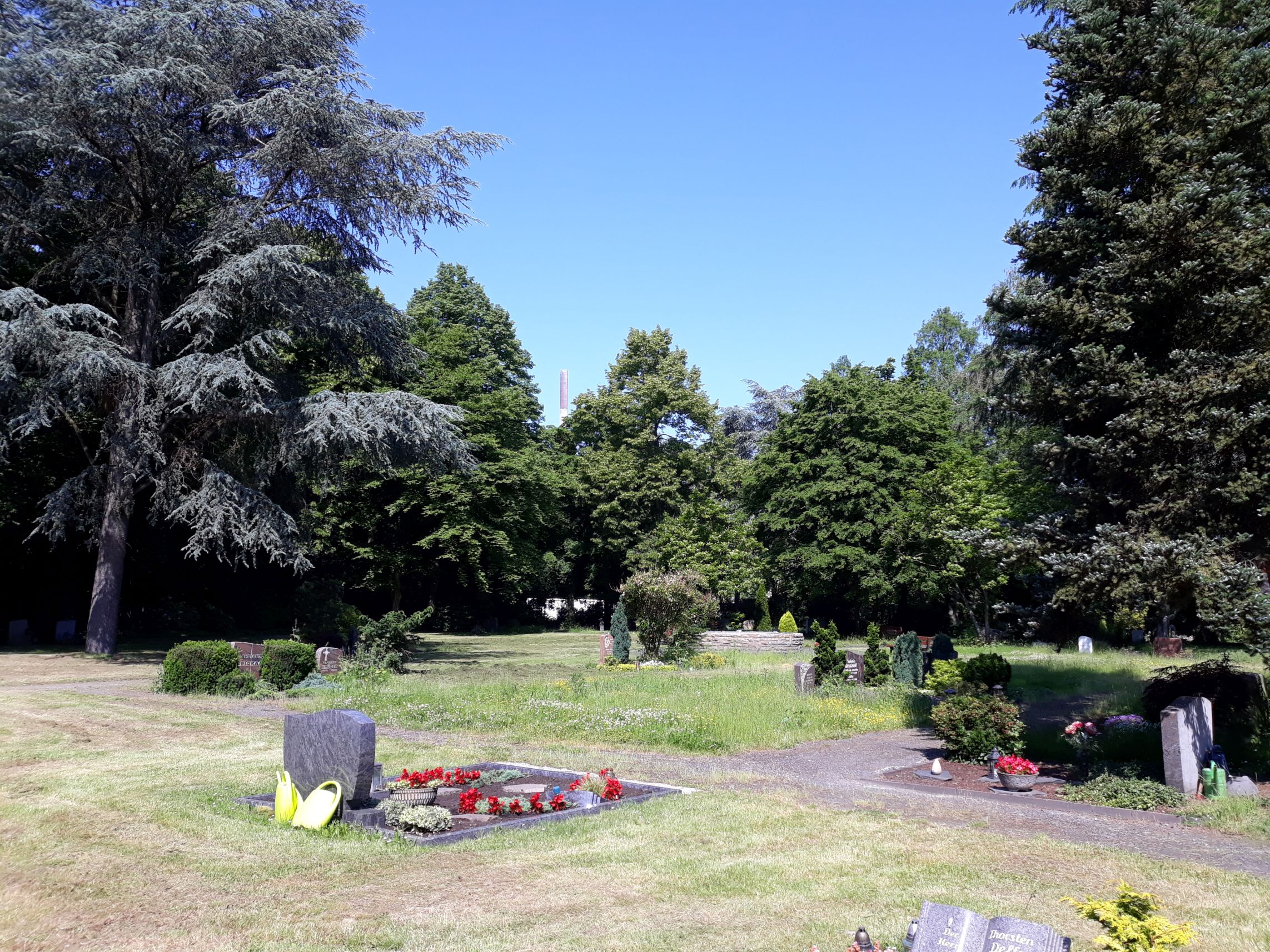 Klimaanpassung auf Friedhöfen