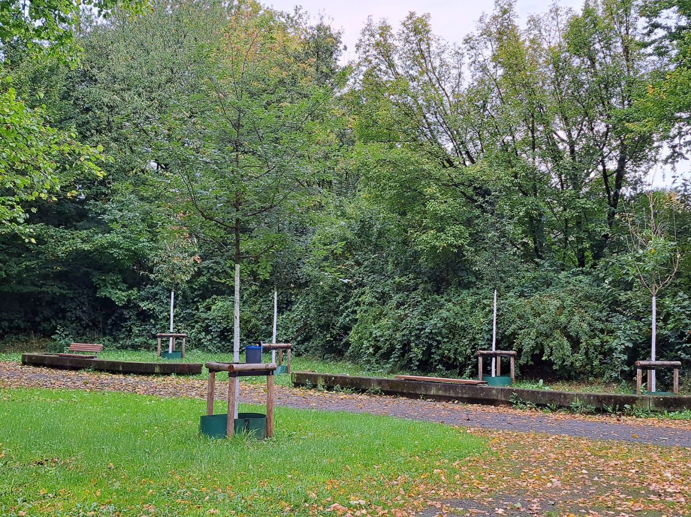 Unbenannter Beitrag 745