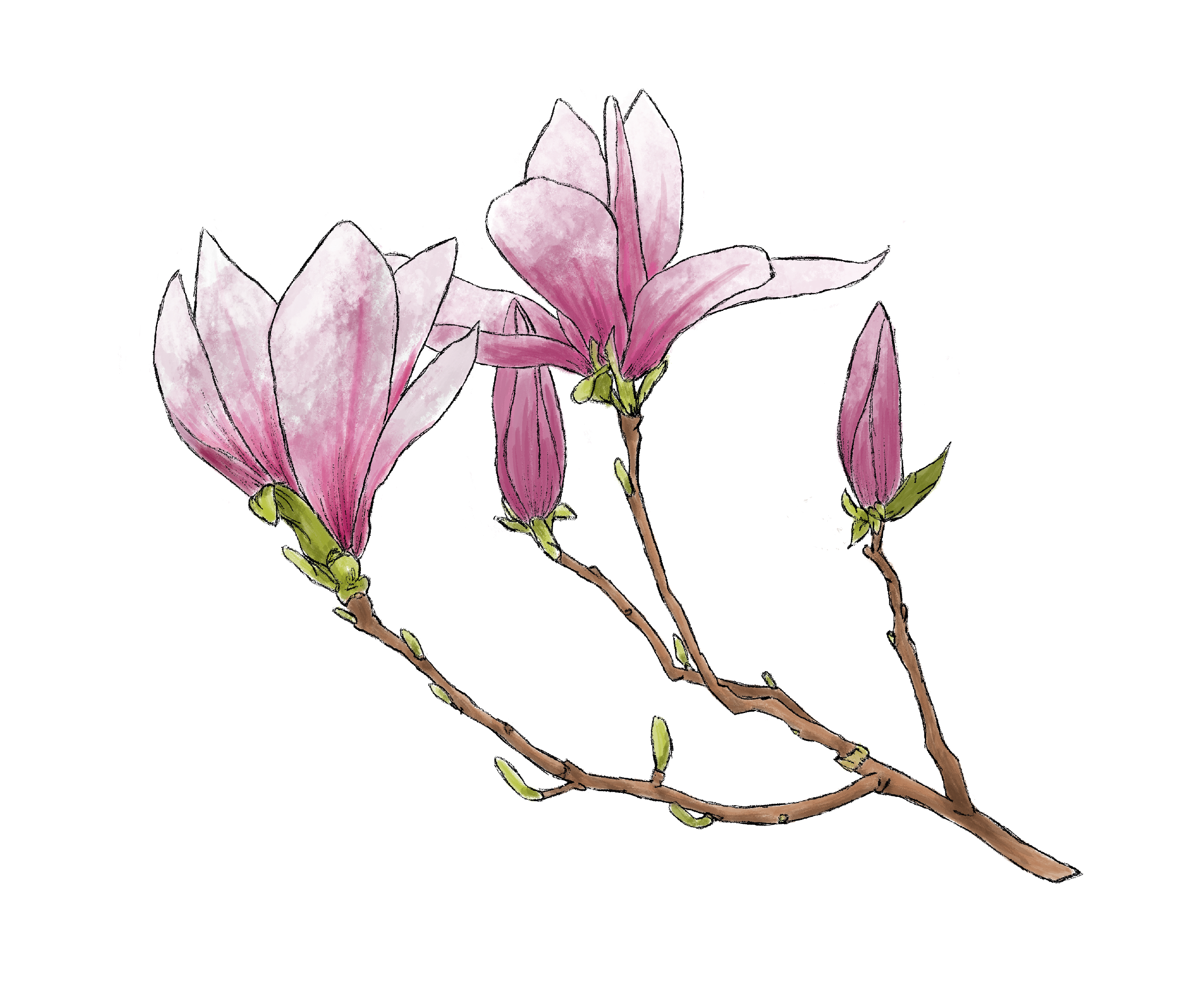 Friedhof Mühlenberg